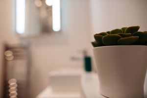 Photo 19- click for photo gallery